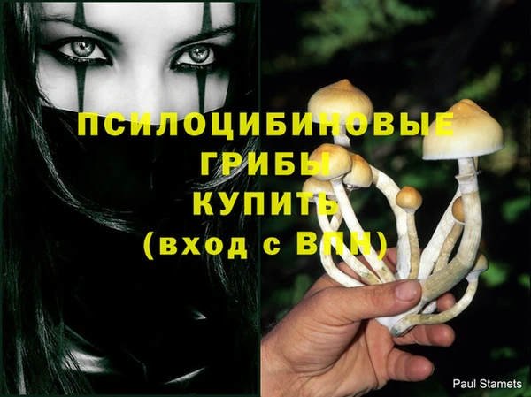 гашик Абдулино