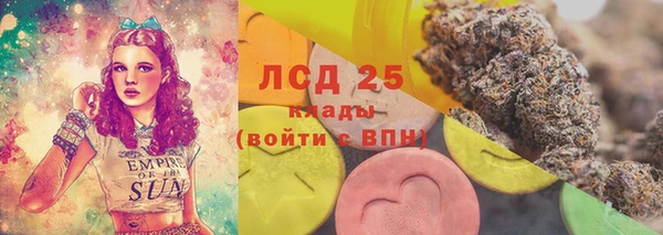 ECSTASY Абаза