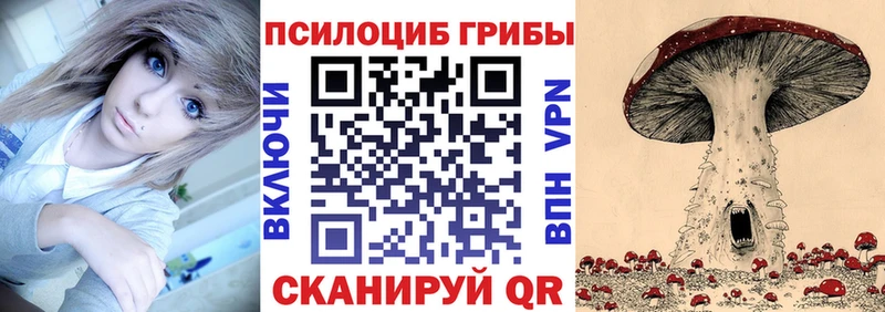 МЕГА ТОР  Тавда  Галлюциногенные грибы мицелий 